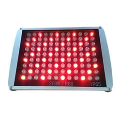 DMX Control RGB Led Flood Lights for Outdoor Statue Lighting