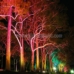 Multi Colored RGB LED Flood Lights for Outdoor Tree Lighting