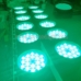Multi Colored RGB LED Flood Lights for Outdoor Tree Lighting