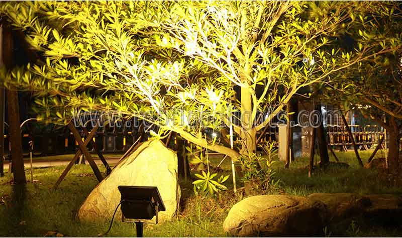 Outdoor Remote Control Low Voltage 12V 24V Colorful Garden Landscape 10W RGB LED Flood Light