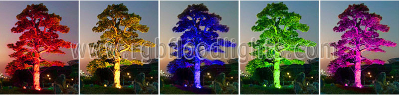 Outdoor Multi Colored Low Voltage 12V 24V 12W RGB LED Tree Flood Light