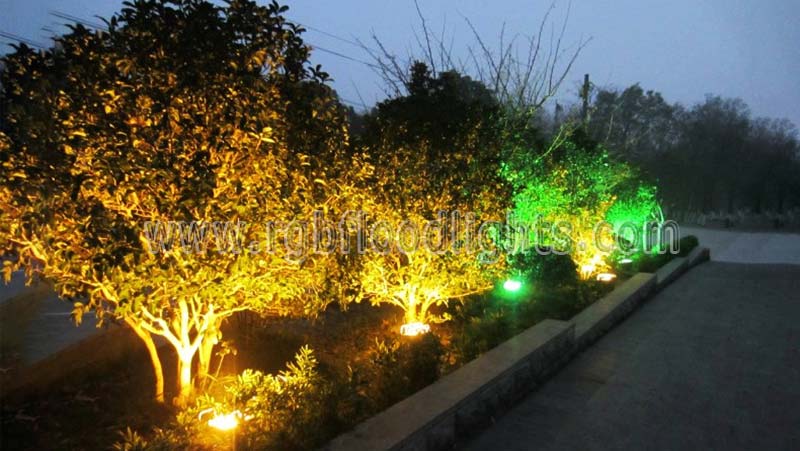 Outdoor Multi Colored Low Voltage 12V 24V 12W RGB LED Tree Flood Light